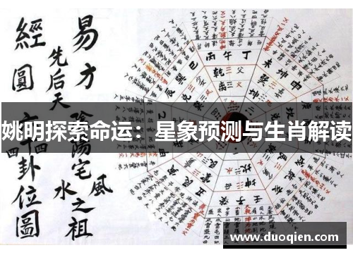 姚明探索命运：星象预测与生肖解读