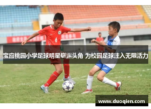 宝应桃园小学足球明星崭露头角 为校园足球注入无限活力