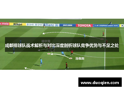 成都排球队战术解析与对比深度剖析球队竞争优势与不足之处