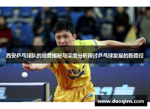 西安乒乓球队的运营揭秘与深度分析探讨乒乓球发展的新路径