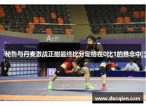 秘鲁与丹麦激战正酣最终比分定格在0比1的悬念中